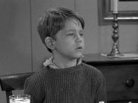 The Andy Griffith Show